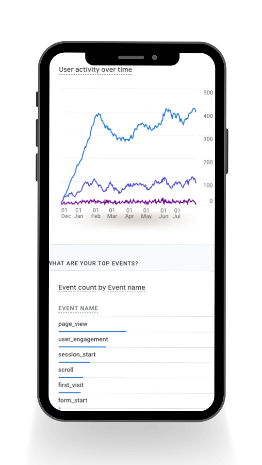 Google Analytics and Form Tracking for Local Company